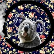 Podcast Koalaty Time with Friends