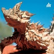 Podcast La Absorbente Piel Del Diablo Espinoso