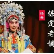 Podcast 【老调】专辑大全