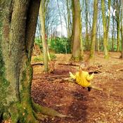 Podcast Lebensbegleitung Wunderwelt