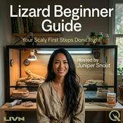 Podcast Lizard Beginner Guide