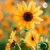 Podcast Loli Nicosia