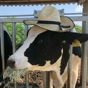 Podcast 酪していきぬくラジオ