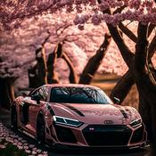 Podcast K•I•●'s PODCAST