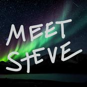Podcast Meet Steve