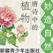 Podcast 每天聊聊唐诗中的植物|妙造自然