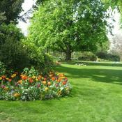 Podcast Memoriser La Langue Francaise