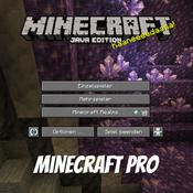 Podcast Minecraft Pro - Tipps und Tricks