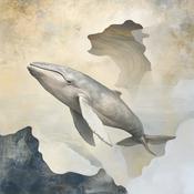 Podcast מים צלולים