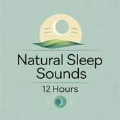Podcast Nature‘s Finest Podcast: White Noise & Sleep Sounds for 12 Hours