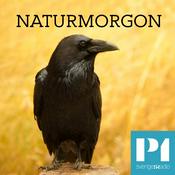 Podcast Naturmorgon