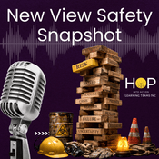 Podcast New View Safety Snapshot