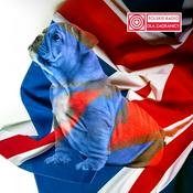 Podcast News from Poland