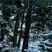 Podcast Day Dreamer To Reality - Daily Law of Attraction