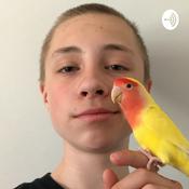 Podcast Noah Toksvig