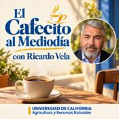 Podcast El Cafecito al mediodia con Ricardo Vela