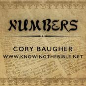 Podcast Numbers