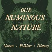 Our Numinous Nature