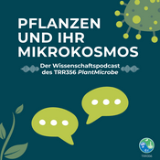 Podcast Pflanzen und ihr Mikrokosmos