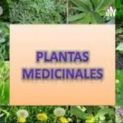 Podcast Plantas Medicinales