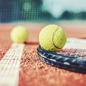 Podcast Podcast Activity: Tennis Sport