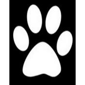 Podcast Podcast Animalistas