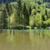 Podcast Podcaz a cappella