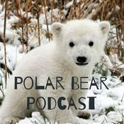 Podcast Polar Bear Podcast