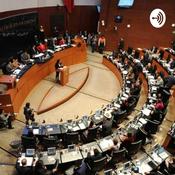 Podcast Proceso Legislativo