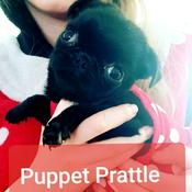 Podcast Puppet Prattle