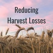 Podcast Reducing Harvest Losses