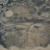 Podcast Relatos de identidad