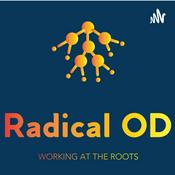 Podcast Reorganising Organisation