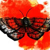 Podcast S.O.S - Valorizando Sonhos