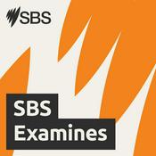 Podcast SBS Examines