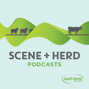 Podcast Scene + Herd: Podcasts from Beef + Lamb New Zealand
