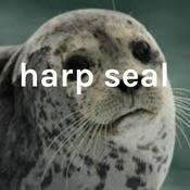 Podcast seal time