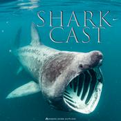 Podcast Shark-Cast