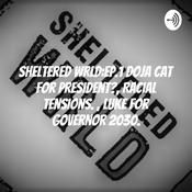 Podcast ShelteRed Wrld:Ep.1 Doja Cat for president?, Racial Tensions. , Luke for Governor 2030.