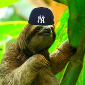 Podcast SLOTH BOYS