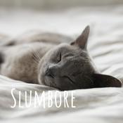 Podcast Slumbore