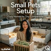 Podcast Small Pets Setup