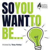 Podcast So You Want To Be...
