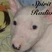 Podcast Spirit Radio