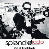 Podcast SplendidRadio with Zeb