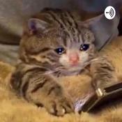 Podcast The Bean Man and Friends