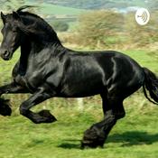 Podcast The Dark Horse