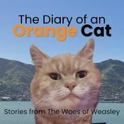 Podcast The Diary of an Orange Cat
