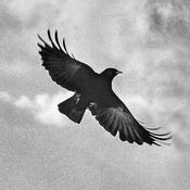 Podcast The Ghosts of Harrenhal: A Song of Ice and Fire Podcast (ASOIAF)