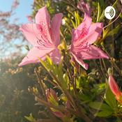 Podcast the great thoughts of gabby